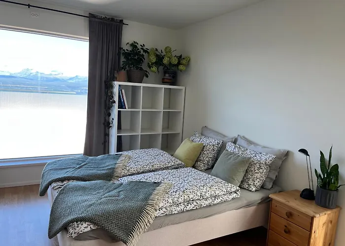 Near Gondola At Narvikfjell, Free Parking Leilighet Narvik